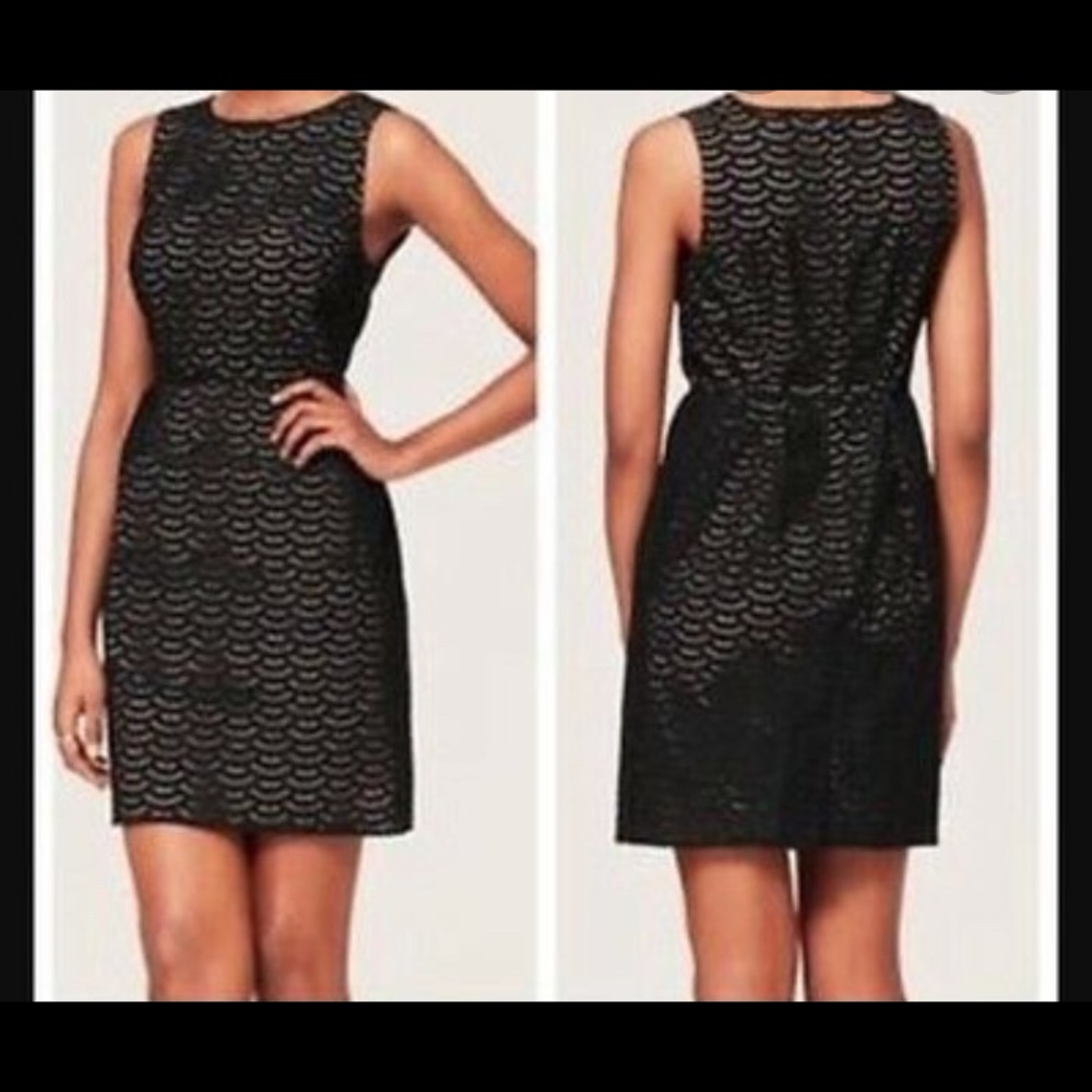 Ann Taylor Black Eyelet Scallop Dress {0}